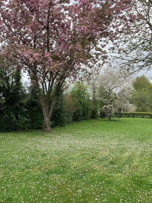 Villa Le Nalousie Livry  Exterior foto